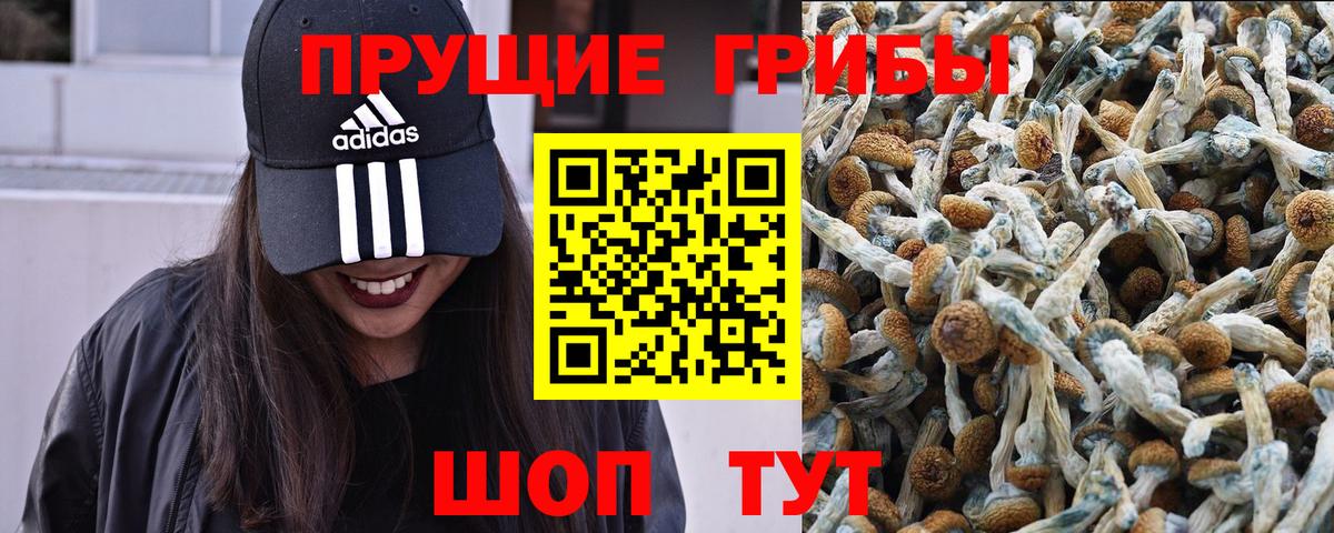 Альметьевск  Галлюциногенные грибы Psilocybine cubensis  Вход с VPN  Галлюциногенные грибы прущие грибы 