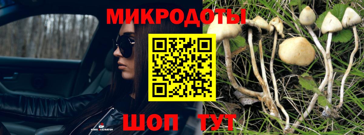 Галлюциногенные грибы Psilocybine cubensis Альметьевск